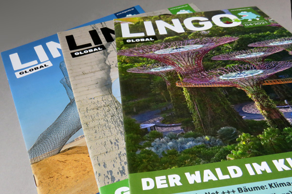 Editorial Design Lingo Global