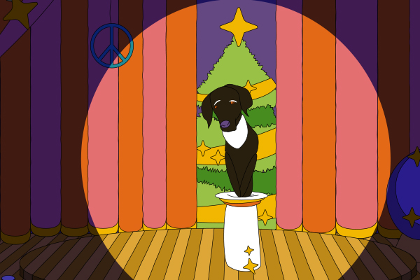 Video-Animation